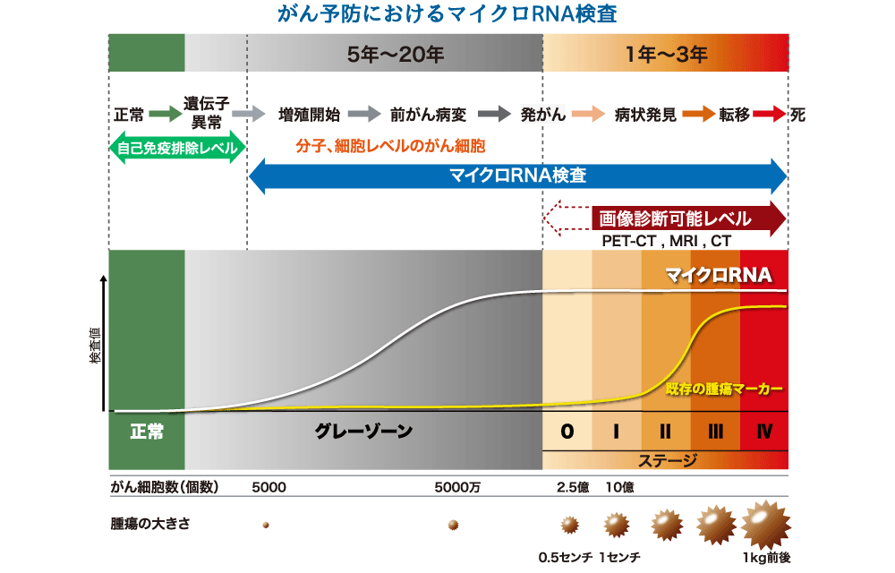 がん予防におけるマイクロRNA検査
