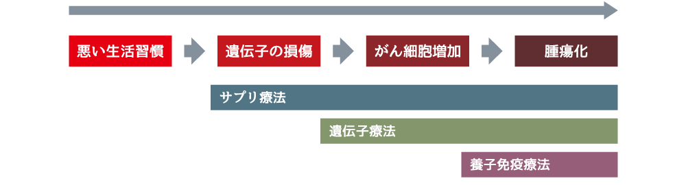 当院では、がん予防・病態悪化防止に対する最適な予防 / 治療を選択し導入