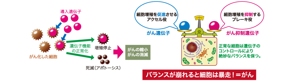 遺伝子療法イメージ